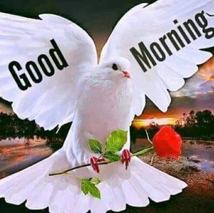 Meet your Posher, Mbadabe